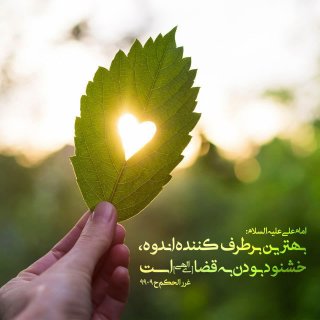 امام على عليه السلام: